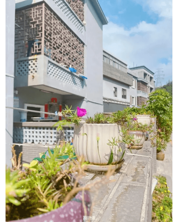 深圳大鵬沙魚涌秘境睇海攻略🌊隱世海灘必打卡🏖️仲有皮划艇、潛水玩足全日❗️