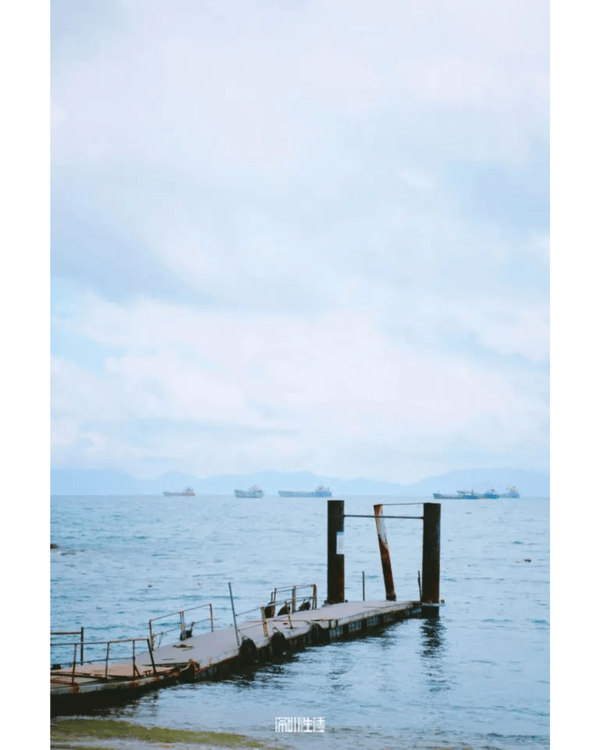 深圳大鵬沙魚涌秘境睇海攻略🌊隱世海灘必打卡🏖️仲有皮划艇、潛水玩足全日❗️