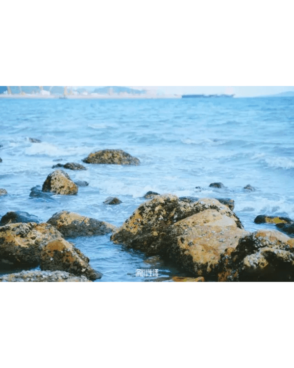 深圳大鵬沙魚涌秘境睇海攻略🌊隱世海灘必打卡🏖️仲有皮划艇、潛水玩足全日❗️