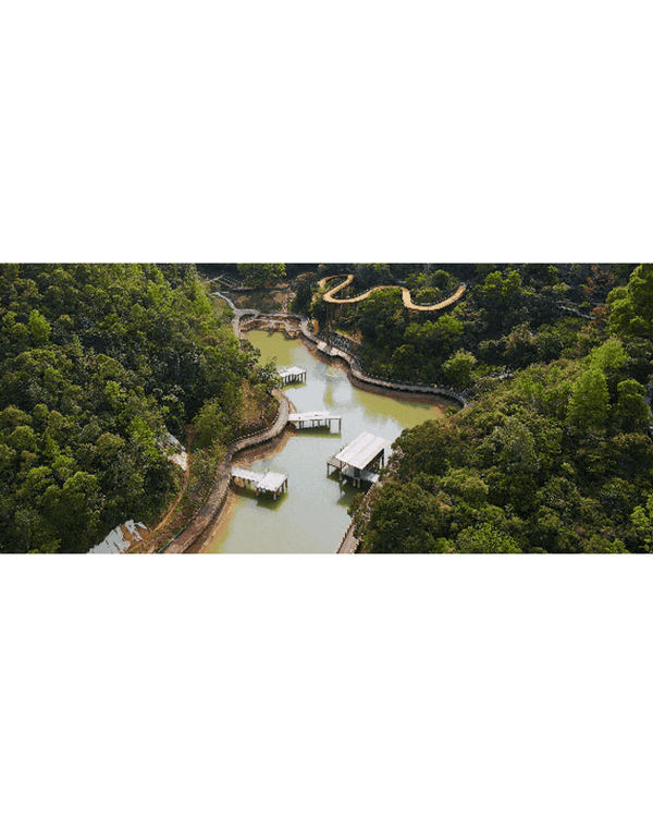 深圳龍崗南灣郊野公園未開先爆紅🌳湖畔棧道打卡一流📸仲有超大兒童樂園任玩🎡❗️