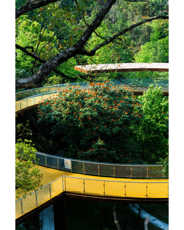 深圳龍崗南灣郊野公園未開先爆紅🌳湖畔棧道打卡一流📸仲有超大兒童樂園任玩🎡❗️