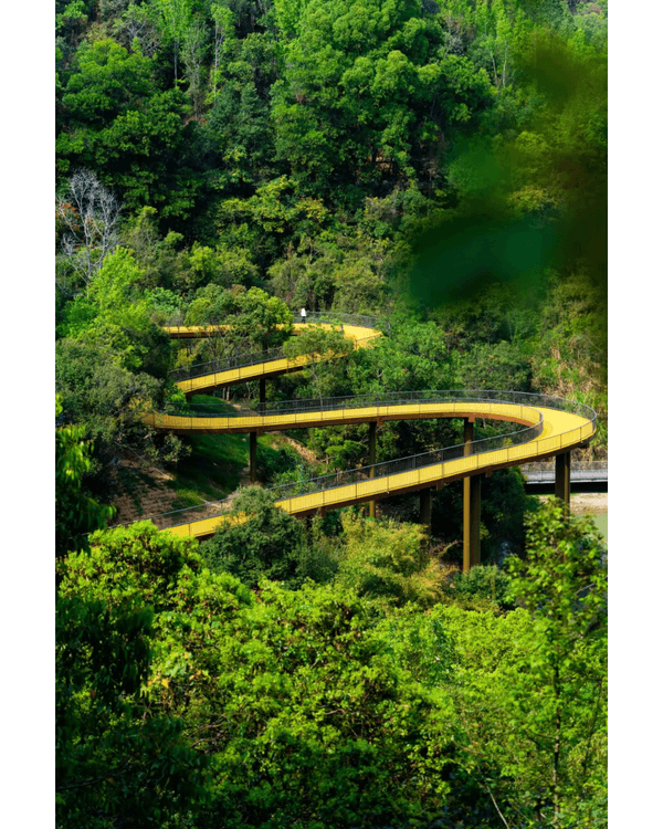 深圳龍崗南灣郊野公園未開先爆紅🌳湖畔棧道打卡一流📸仲有超大兒童樂園任玩🎡❗️