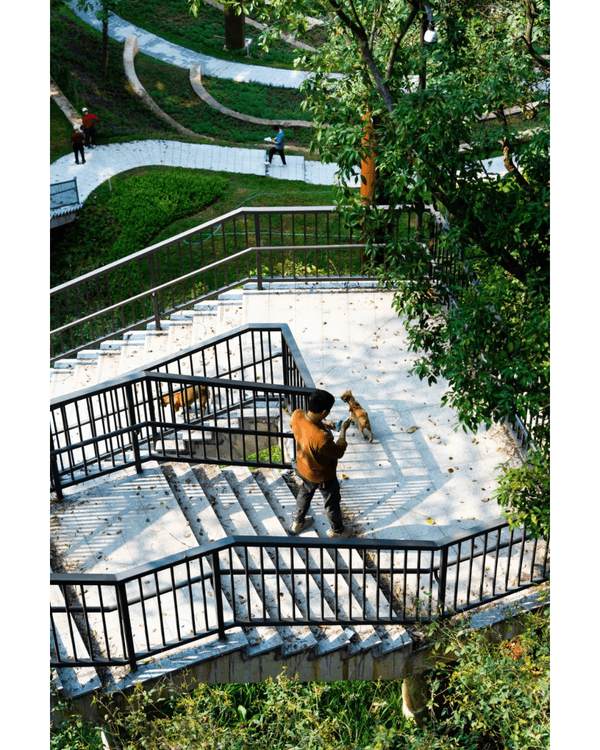 深圳龍崗南灣郊野公園未開先爆紅🌳湖畔棧道打卡一流📸仲有超大兒童樂園任玩🎡❗️