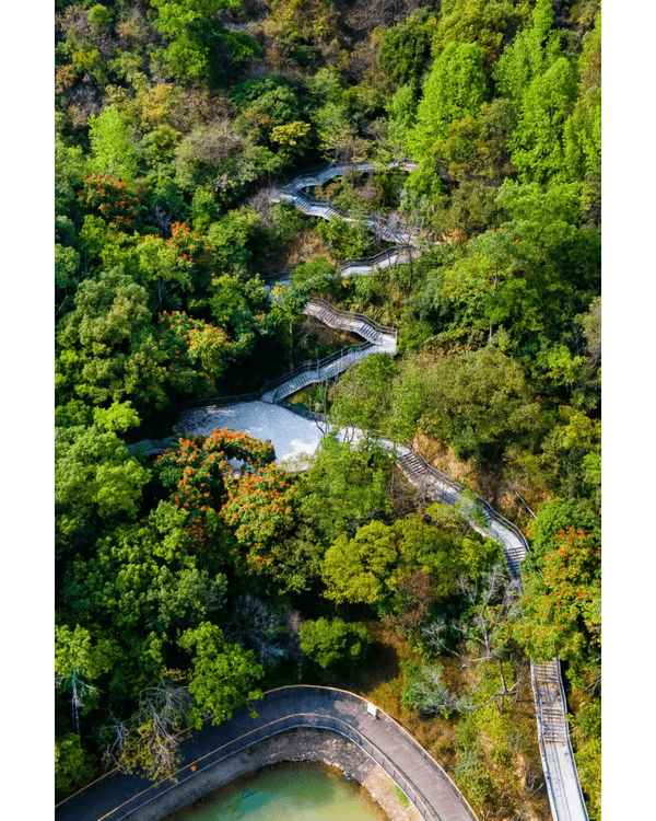 深圳龍崗南灣郊野公園未開先爆紅🌳湖畔棧道打卡一流📸仲有超大兒童樂園任玩🎡❗️
