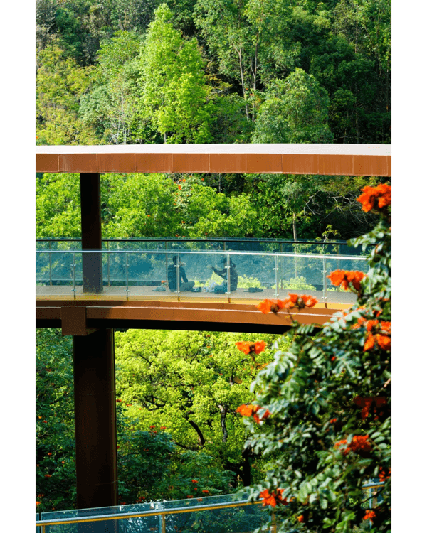 深圳龍崗南灣郊野公園未開先爆紅🌳湖畔棧道打卡一流📸仲有超大兒童樂園任玩🎡❗️