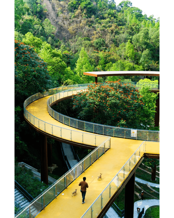 深圳龍崗南灣郊野公園未開先爆紅🌳湖畔棧道打卡一流📸仲有超大兒童樂園任玩🎡❗️