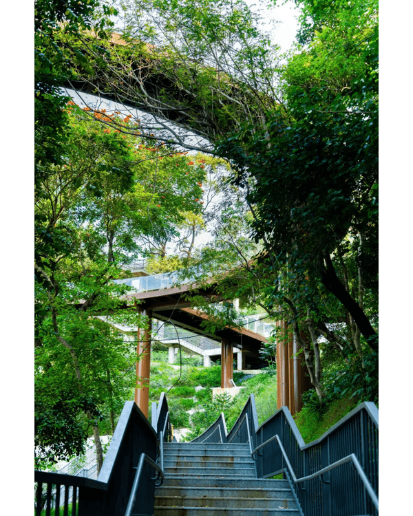 深圳龍崗南灣郊野公園未開先爆紅🌳湖畔棧道打卡一流📸仲有超大兒童樂園任玩🎡❗️