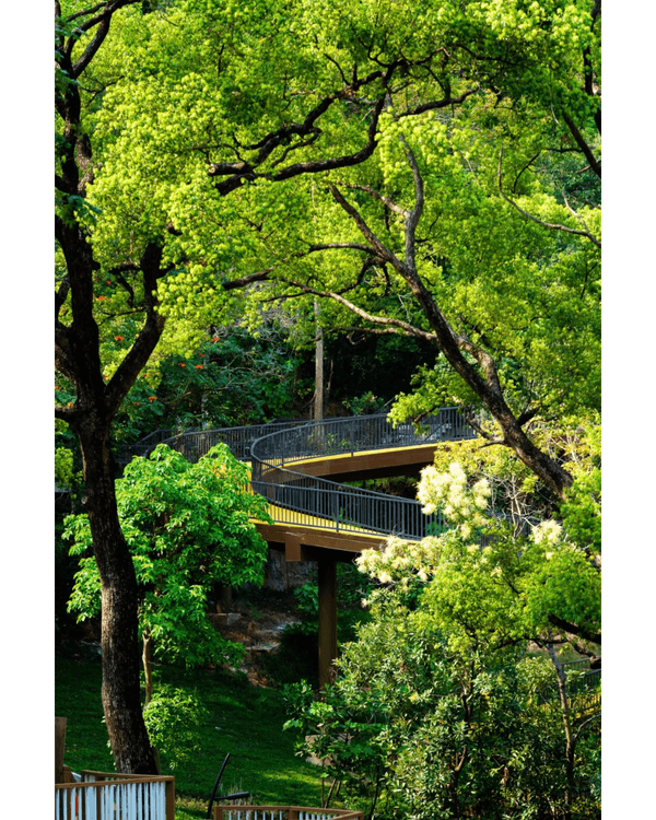 深圳龍崗南灣郊野公園未開先爆紅🌳湖畔棧道打卡一流📸仲有超大兒童樂園任玩🎡❗️