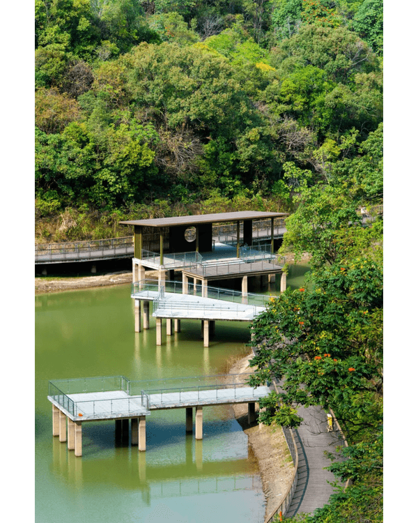 深圳龍崗南灣郊野公園未開先爆紅🌳湖畔棧道打卡一流📸仲有超大兒童樂園任玩🎡❗️
