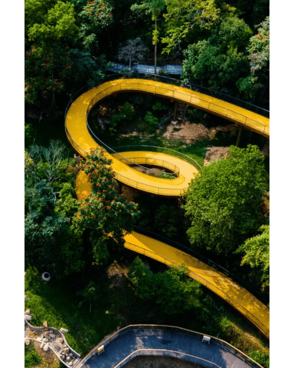 深圳龍崗南灣郊野公園未開先爆紅🌳湖畔棧道打卡一流📸仲有超大兒童樂園任玩🎡❗️