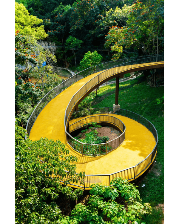 深圳龍崗南灣郊野公園未開先爆紅🌳湖畔棧道打卡一流📸仲有超大兒童樂園任玩🎡❗️