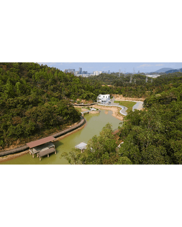 深圳龍崗南灣郊野公園未開先爆紅🌳湖畔棧道打卡一流📸仲有超大兒童樂園任玩🎡❗️