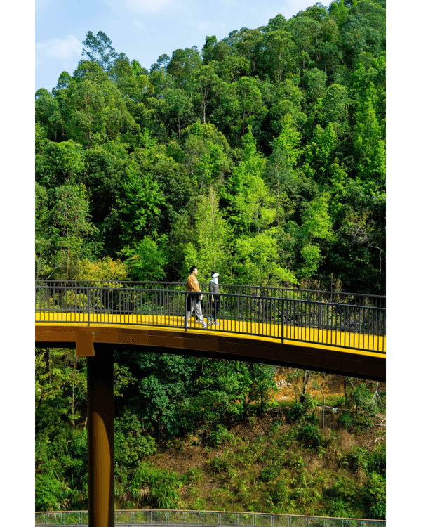 深圳龍崗南灣郊野公園未開先爆紅🌳湖畔棧道打卡一流📸仲有超大兒童樂園任玩🎡❗️