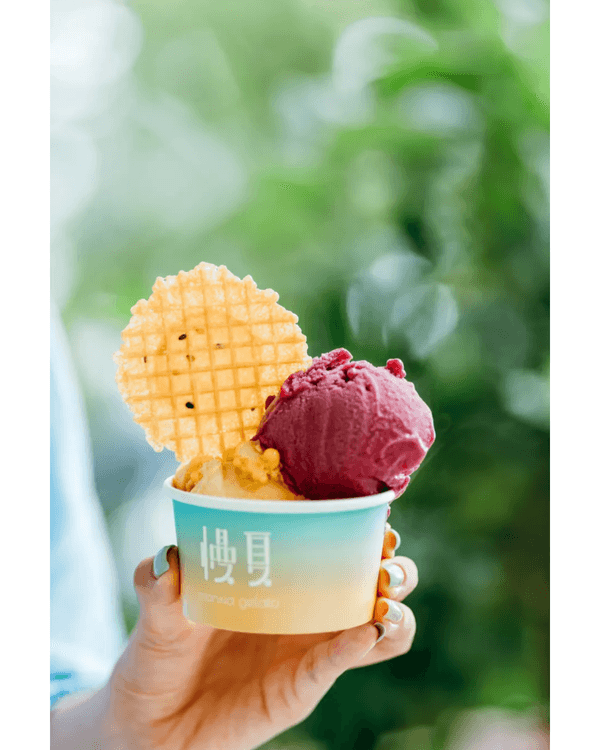 深圳18間高質雪糕地圖🍨🤤三文魚刺身味勁有趣❗️多間開心果Gelato必試✨