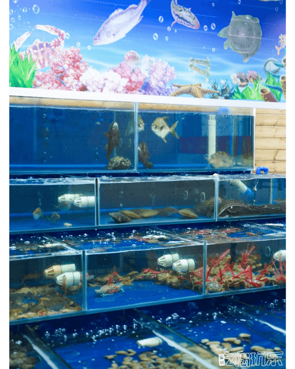 深圳較場尾一日遊度假攻略🌊水上單車、飛魚船玩完再食平價海鮮🦐順路打卡600年歷史古城📸