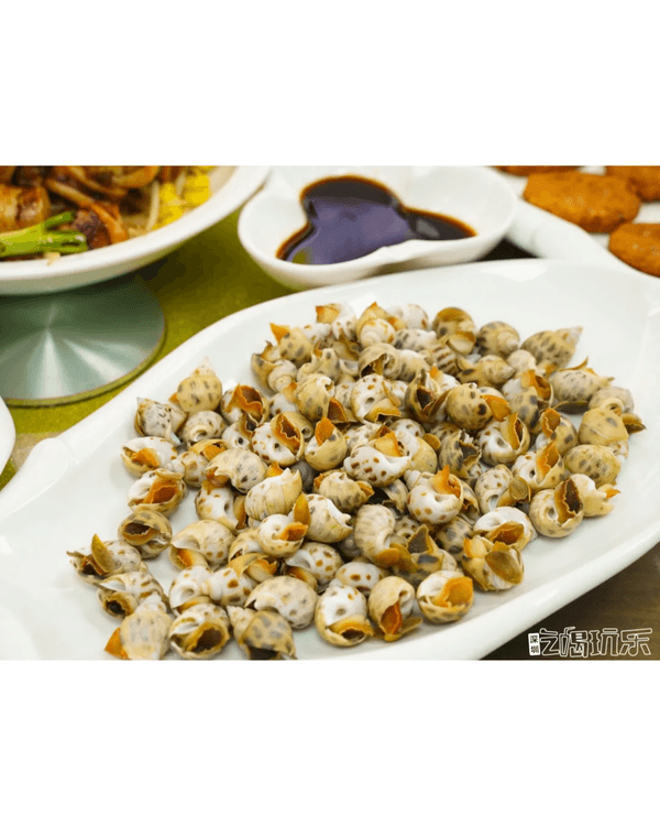 深圳較場尾一日遊度假攻略🌊水上單車、飛魚船玩完再食平價海鮮🦐順路打卡600年歷史古城📸