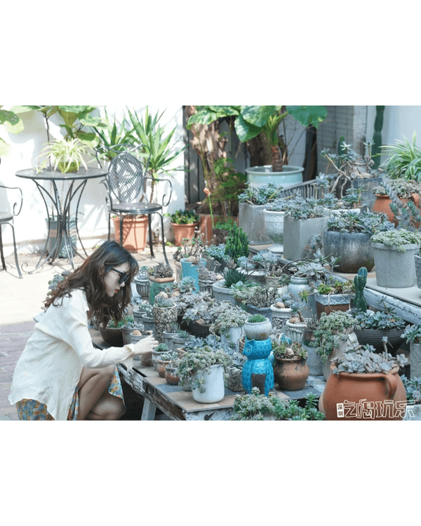 深圳較場尾一日遊度假攻略🌊水上單車、飛魚船玩完再食平價海鮮🦐順路打卡600年歷史古城📸