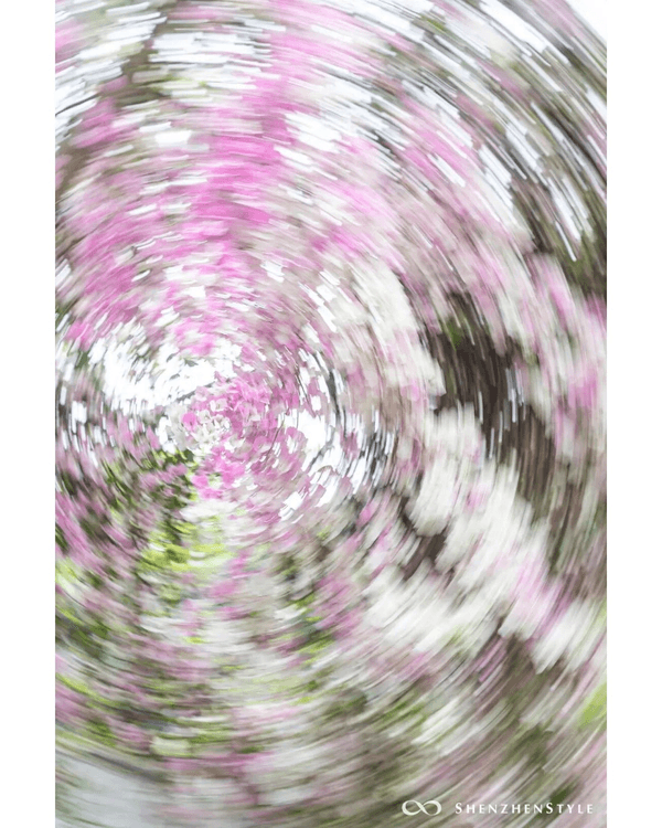 深圳花海浪漫Color Walk路線💐漫步1.5km花海大道🌸打卡園博園粉色花瀑✨