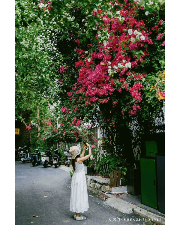 深圳花海浪漫Color Walk路線💐漫步1.5km花海大道🌸打卡園博園粉色花瀑✨