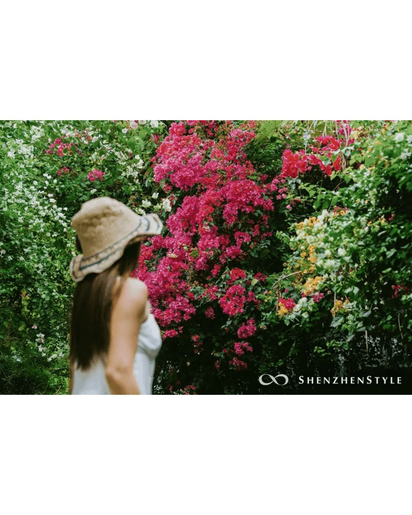 深圳花海浪漫Color Walk路線💐漫步1.5km花海大道🌸打卡園博園粉色花瀑✨