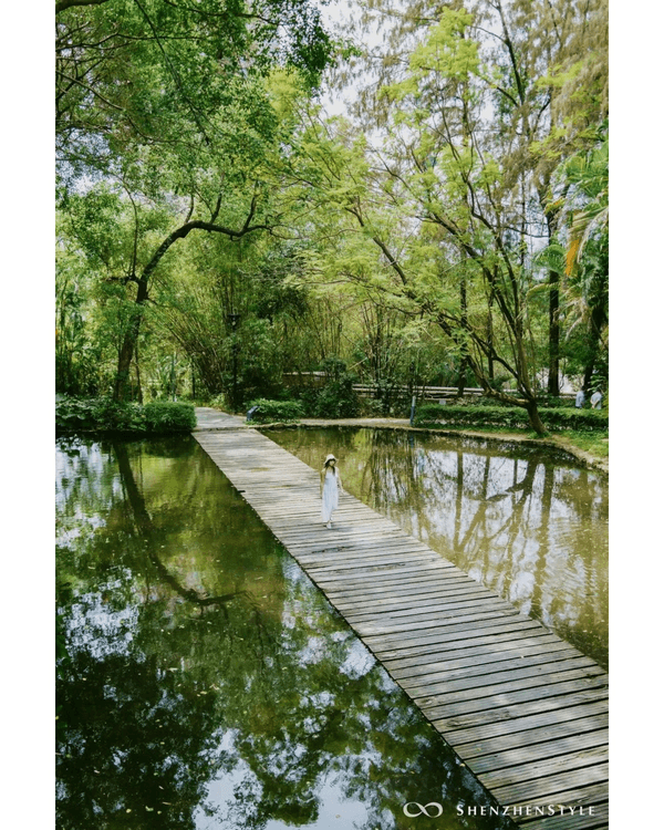 深圳花海浪漫Color Walk路線💐漫步1.5km花海大道🌸打卡園博園粉色花瀑✨
