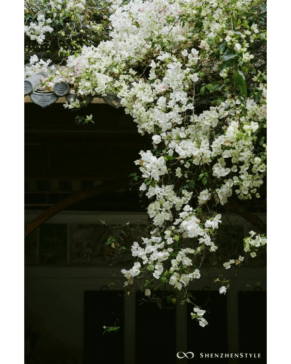 深圳花海浪漫Color Walk路線💐漫步1.5km花海大道🌸打卡園博園粉色花瀑✨