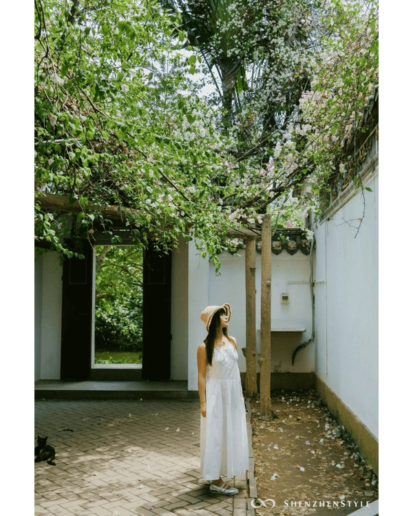 深圳花海浪漫Color Walk路線💐漫步1.5km花海大道🌸打卡園博園粉色花瀑✨