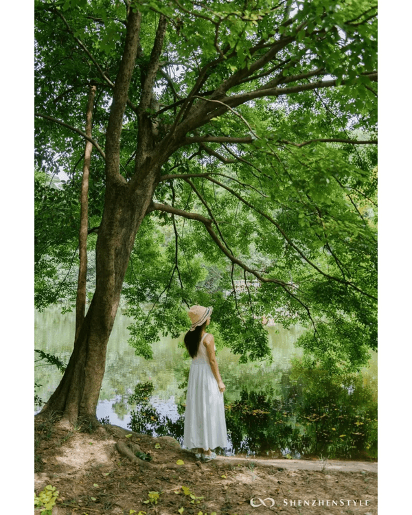 深圳花海浪漫Color Walk路線💐漫步1.5km花海大道🌸打卡園博園粉色花瀑✨