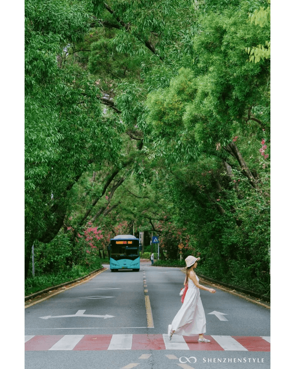 深圳花海浪漫Color Walk路線💐漫步1.5km花海大道🌸打卡園博園粉色花瀑✨