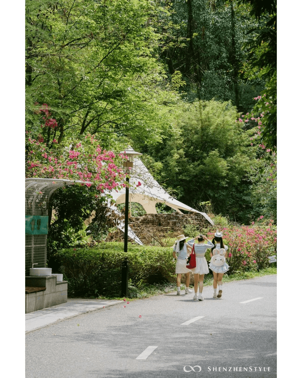 深圳花海浪漫Color Walk路線💐漫步1.5km花海大道🌸打卡園博園粉色花瀑✨