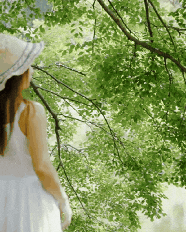 深圳花海浪漫Color Walk路線💐漫步1.5km花海大道🌸打卡園博園粉色花瀑✨