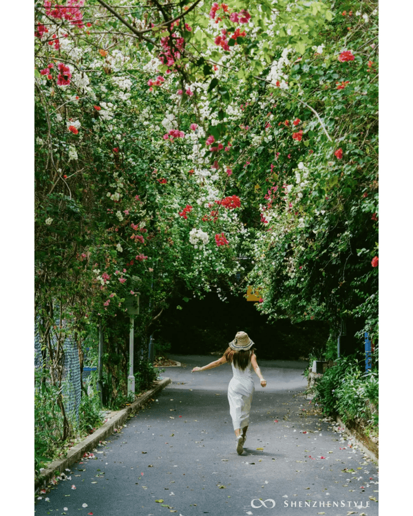深圳花海浪漫Color Walk路線💐漫步1.5km花海大道🌸打卡園博園粉色花瀑✨