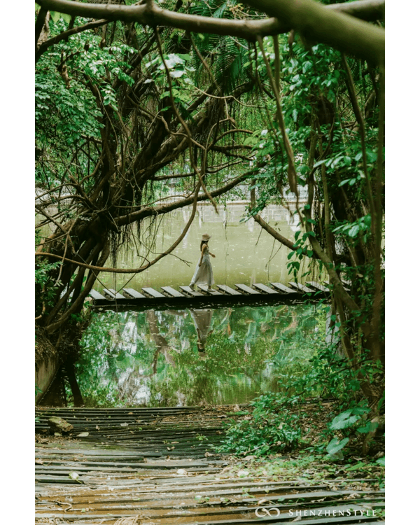 深圳花海浪漫Color Walk路線💐漫步1.5km花海大道🌸打卡園博園粉色花瀑✨