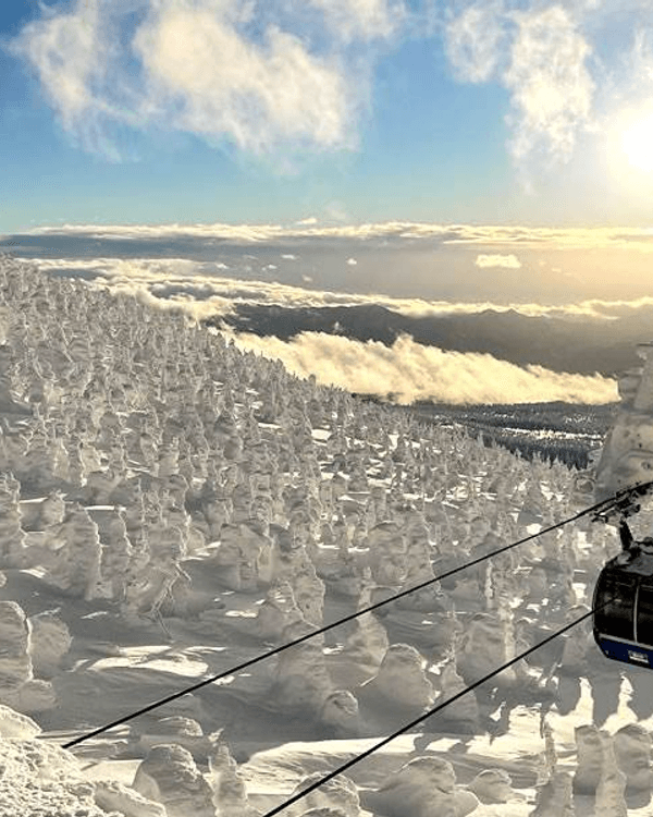 日本15大世界級夢幻秘境😍富士山、立山黑部打卡必去🏔️附介紹+最佳旅遊時間