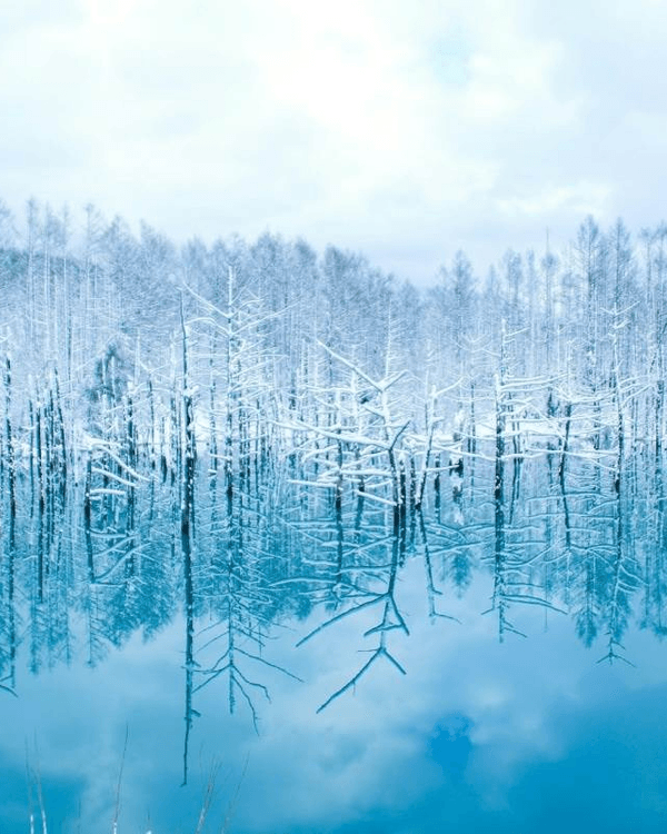 日本15大世界級夢幻秘境😍富士山、立山黑部打卡必去🏔️附介紹+最佳旅遊時間