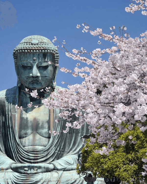 日本15大世界級夢幻秘境😍富士山、立山黑部打卡必去🏔️附介紹+最佳旅遊時間