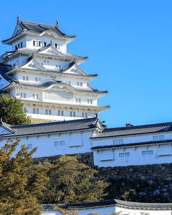 日本15大世界級夢幻秘境😍富士山、立山黑部打卡必去🏔️附介紹+最佳旅遊時間