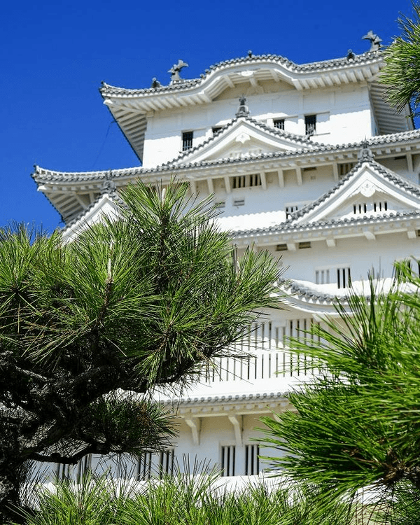 日本15大世界級夢幻秘境😍富士山、立山黑部打卡必去🏔️附介紹+最佳旅遊時間