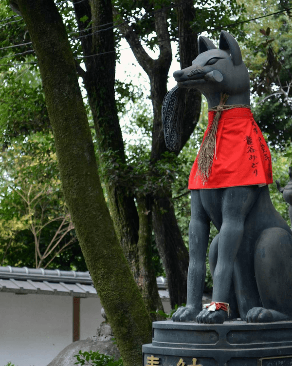 日本15大世界級夢幻秘境😍富士山、立山黑部打卡必去🏔️附介紹+最佳旅遊時間