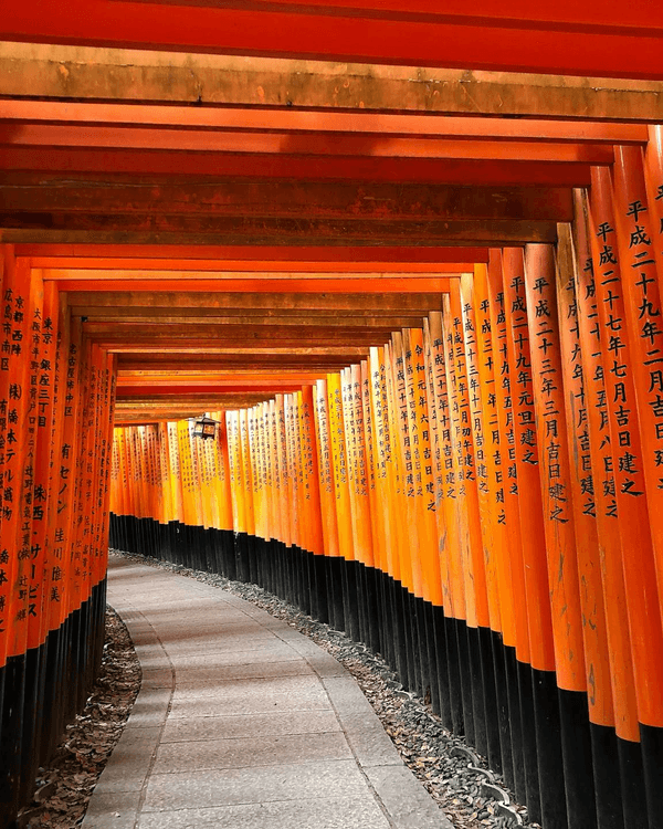 日本15大世界級夢幻秘境😍富士山、立山黑部打卡必去🏔️附介紹+最佳旅遊時間