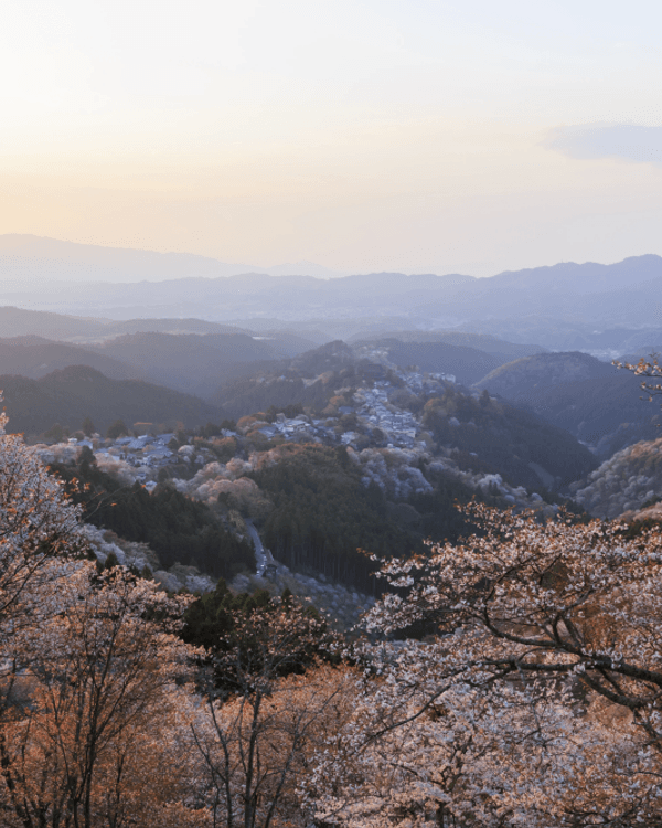 日本15大世界級夢幻秘境😍富士山、立山黑部打卡必去🏔️附介紹+最佳旅遊時間