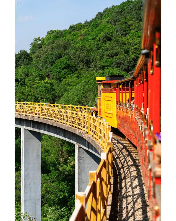 深圳9個必打卡慢活秘境🍃森林小火車、阿勒泰同款綠地勁Chill🚂3路線整理去玩超方便❗️
