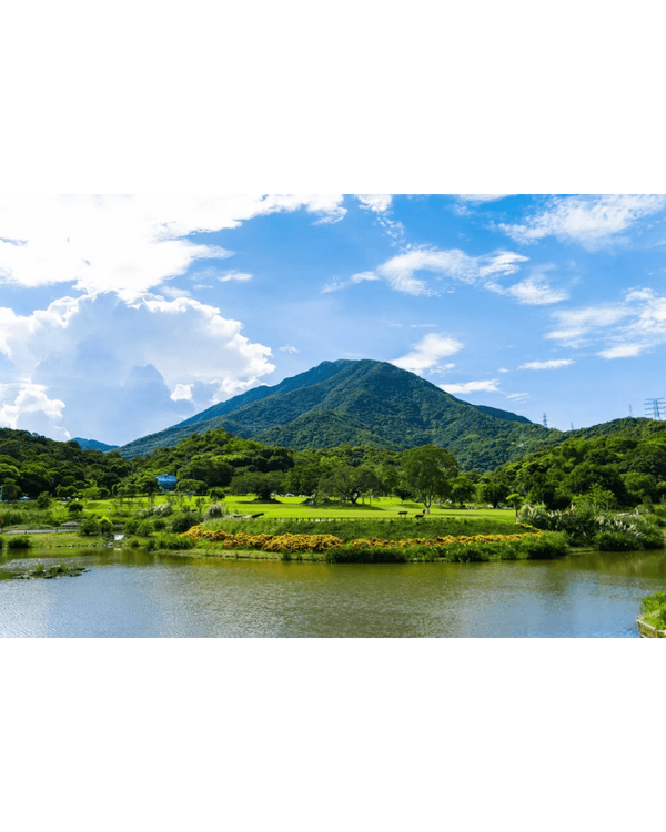 深圳9個必打卡慢活秘境🍃森林小火車、阿勒泰同款綠地勁Chill🚂3路線整理去玩超方便❗️