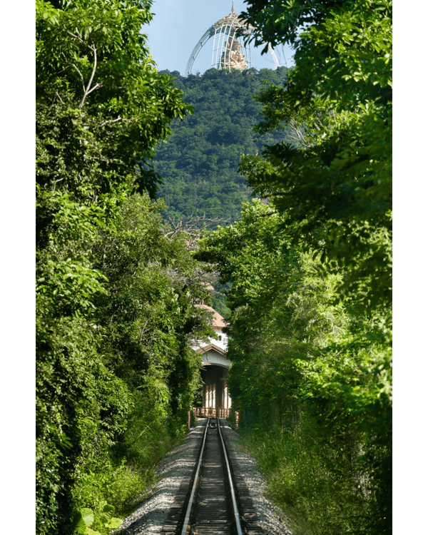 深圳9個必打卡慢活秘境🍃森林小火車、阿勒泰同款綠地勁Chill🚂3路線整理去玩超方便❗️
