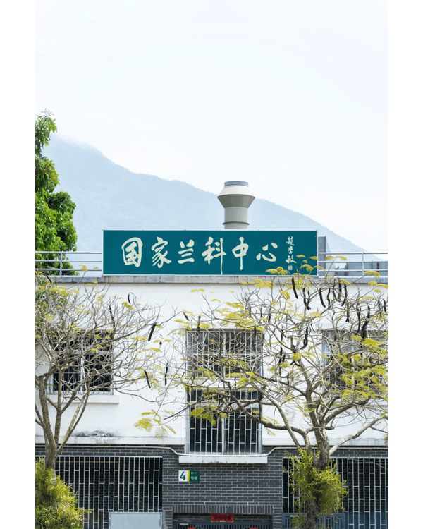 深圳9個必打卡慢活秘境🍃森林小火車、阿勒泰同款綠地勁Chill🚂3路線整理去玩超方便❗️