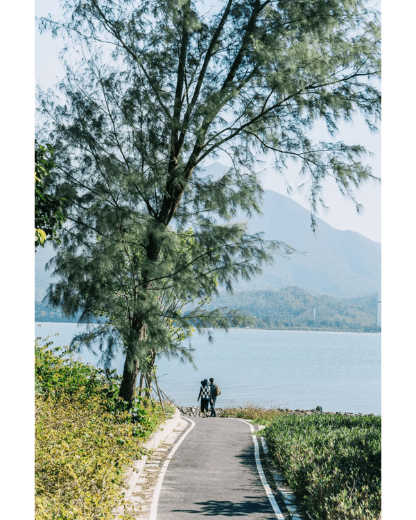 深圳9個必打卡慢活秘境🍃森林小火車、阿勒泰同款綠地勁Chill🚂3路線整理去玩超方便❗️
