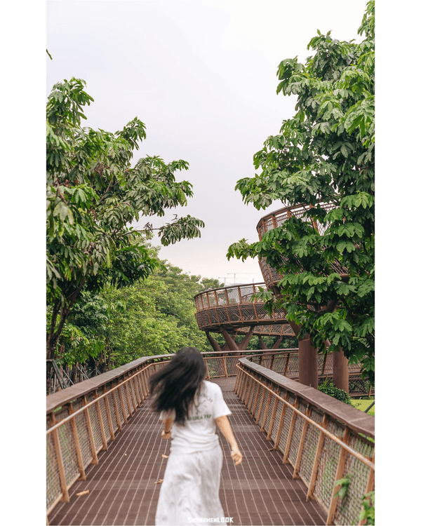 深圳南山大沙河森林棧道🌿似巨型過山車打卡散步一流🎢仲有360°全景玻璃樹屋✨
