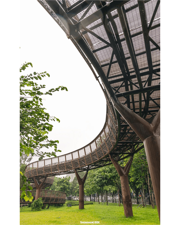 深圳南山大沙河森林棧道🌿似巨型過山車打卡散步一流🎢仲有360°全景玻璃樹屋✨
