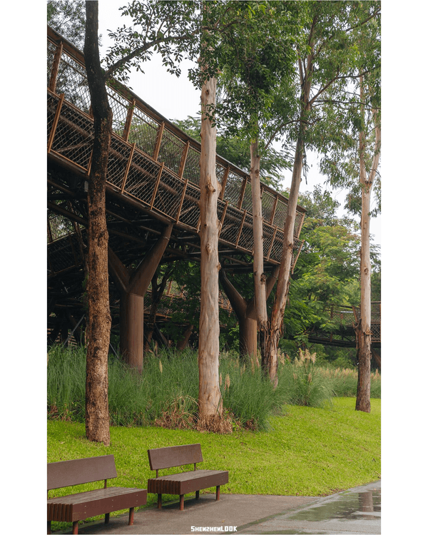 深圳南山大沙河森林棧道🌿似巨型過山車打卡散步一流🎢仲有360°全景玻璃樹屋✨