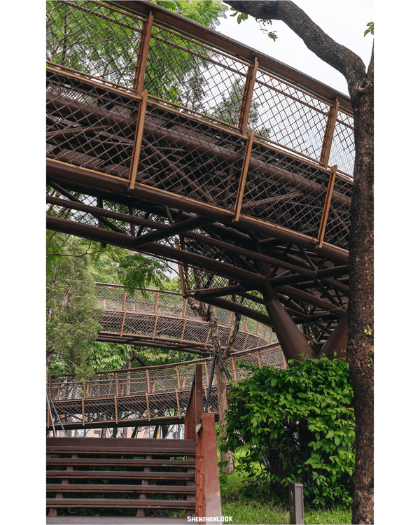 深圳南山大沙河森林棧道🌿似巨型過山車打卡散步一流🎢仲有360°全景玻璃樹屋✨